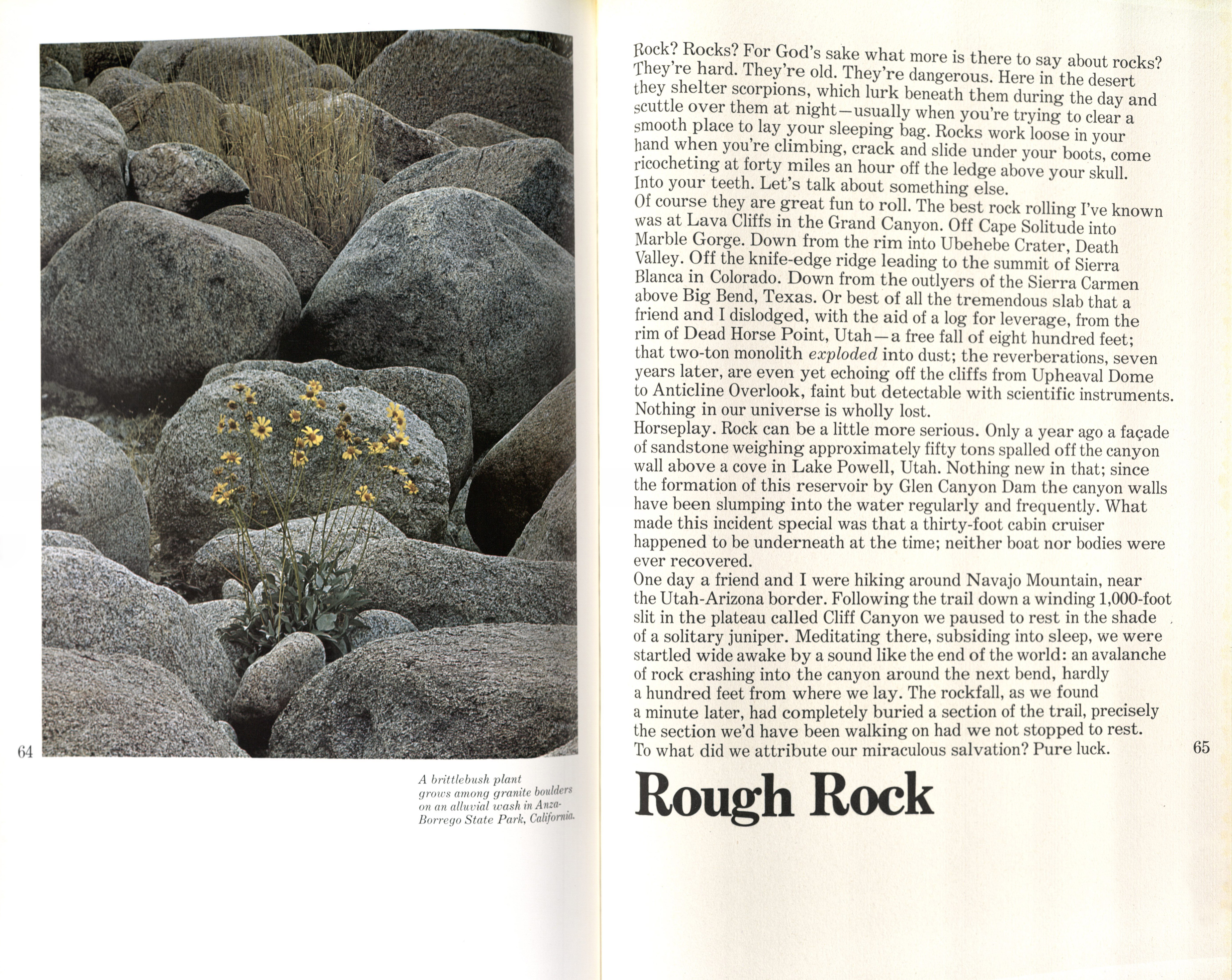DESERT IMAGES, 1979