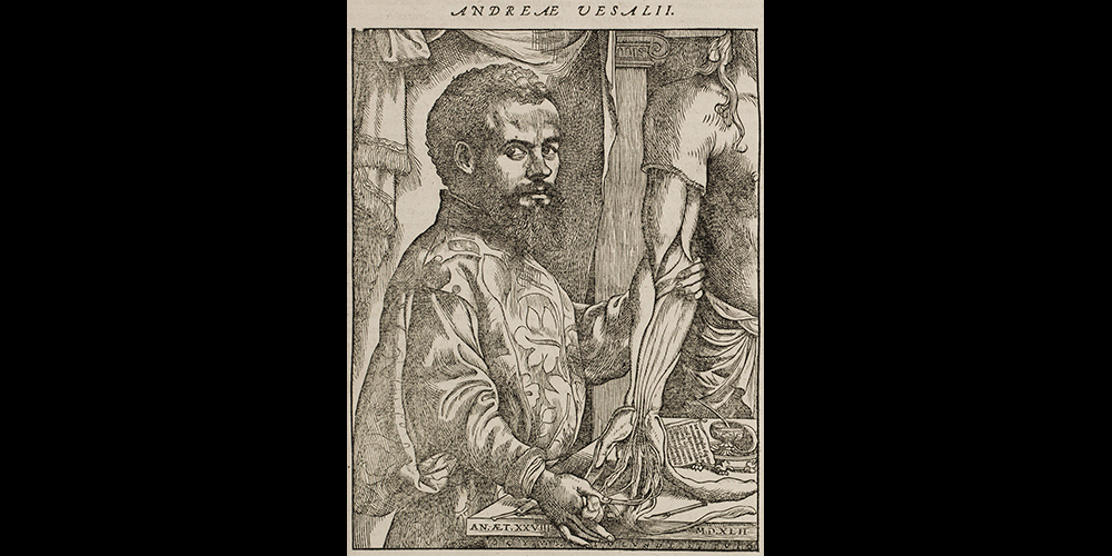 Portrait of Andreas Vesalius in 1555 edition
