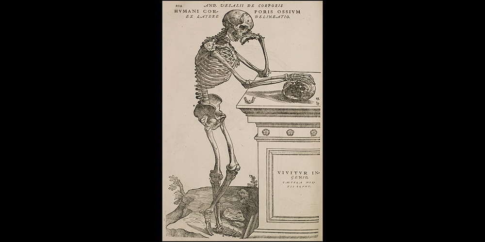 Skeleton with Latin quote: p.204 Genius lives on…. in 1555 edition