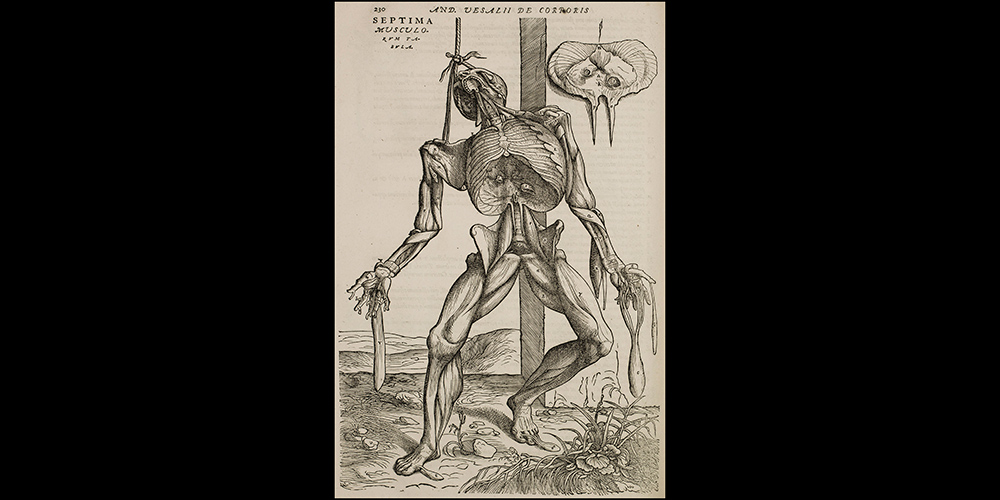 The skeleton with mouth open: Book 2, Table 7 p. 230 in 1555 edition