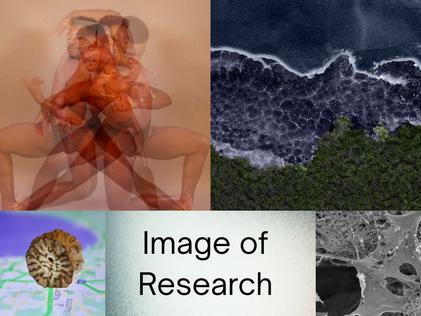 A collage of diverse images featuring: a layered human figure in motion, aerial view of a forest meeting ocean waves, a brown seed on a map, text "Image of Research," and a close-up of a textured surface.