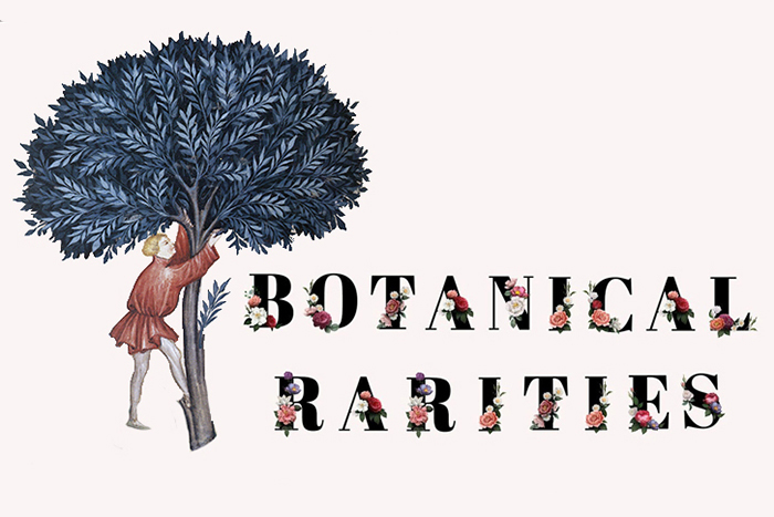Botanical Rarities