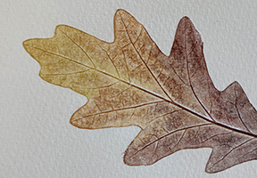 image of printed leaf
