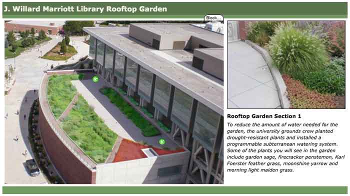 The J. Willard Marriott Library Interactive Rooftop Garden Map: Visualizing the unique plants and features associated with the rooftop garden.