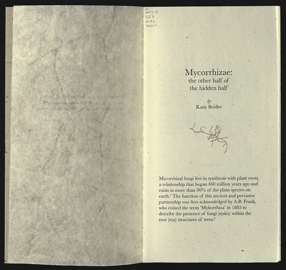 Mycorrhizae Title Page