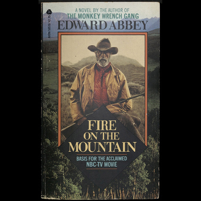 Fire on the Mountain 1982