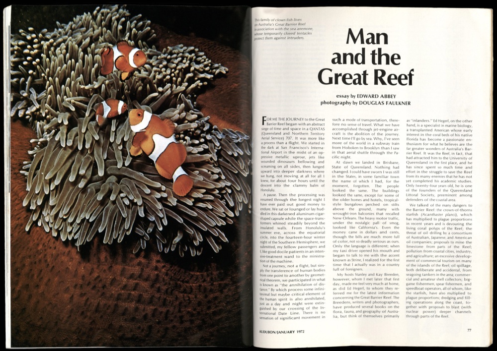 Man and the great reef