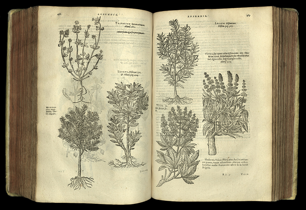 L'Obel Plantarum