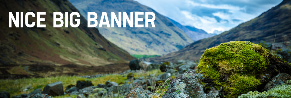 Give me some alt text