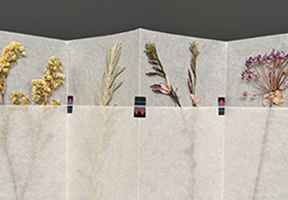 handmade book with glassine and dried flowers