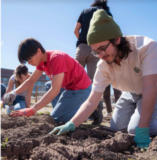 students planting plants in the sunshine
