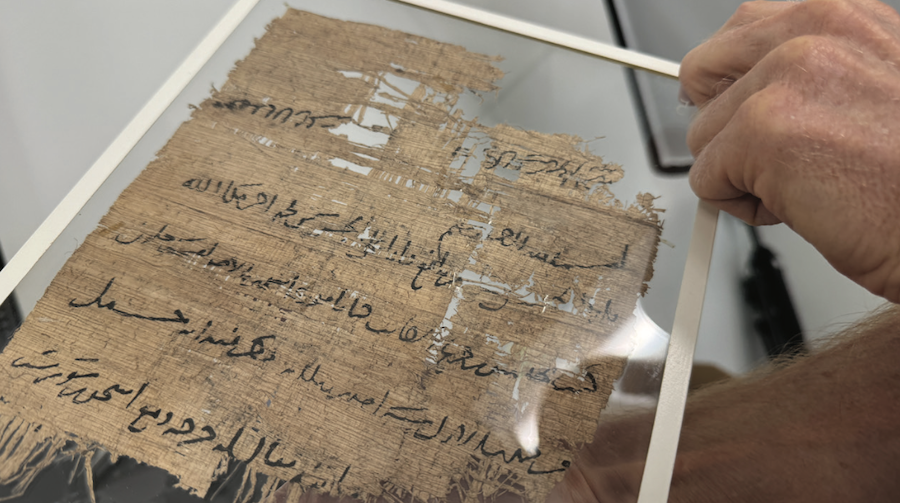 Papyrus being preserved in glass