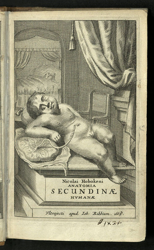 Nicolaas Hoboken, Nicolai Hobokeni ... Anatomie Secundiane Humanae, 1669