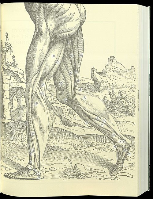 Vesalius, The Fabric of the Human Body, 2014