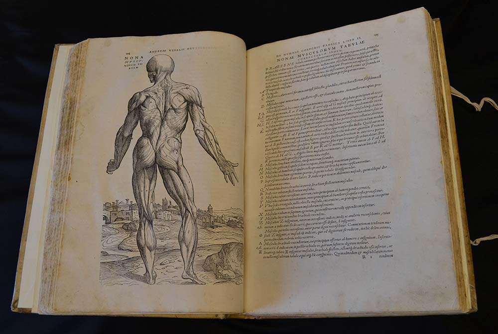 Andreas Vesalius, De Humani Corpus, 1543, First Edition